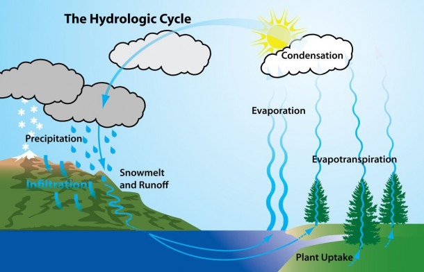 Diagram Of Water Cycle For Kids