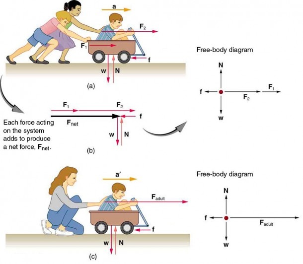 This Digram Shows That By The Two People Pushing On The Wagon