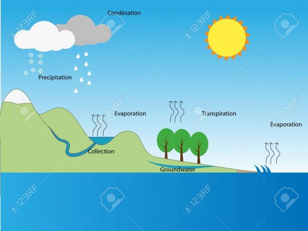 Diagram Of Water Cycle For Kids