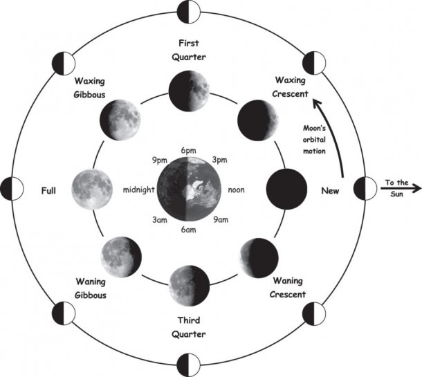 Moon Phase Diagram