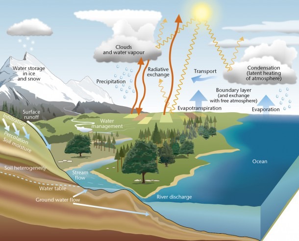 Diagram Of Water Cycle For Kids