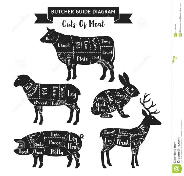 Cuts Of Meat On A Deer Diagram