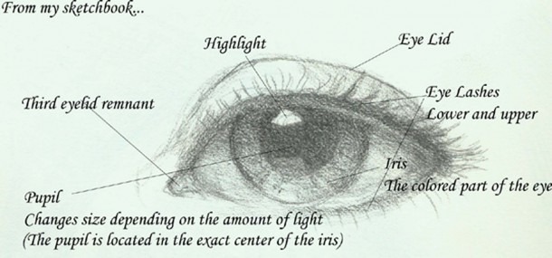 Labeled Eye Diagram