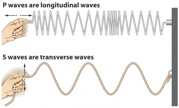 Wave Forms