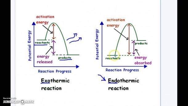 Energy Diagram For Exothermic Reaction