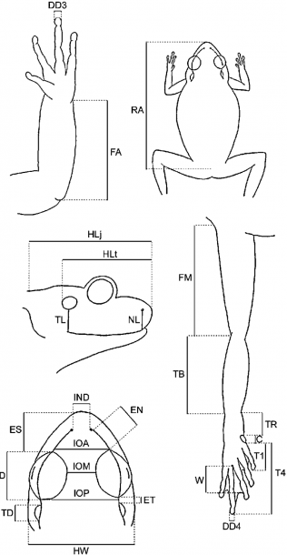 definition-of-pictorial-diagram